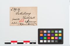 Etiketten zu Bronzeringanhänger (NHMW-PRAE-023916)